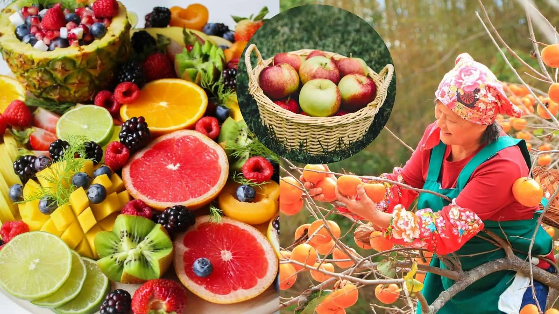 Ako rozpoznať skutočnú čerstvosť a zdravie na vašom tanieri