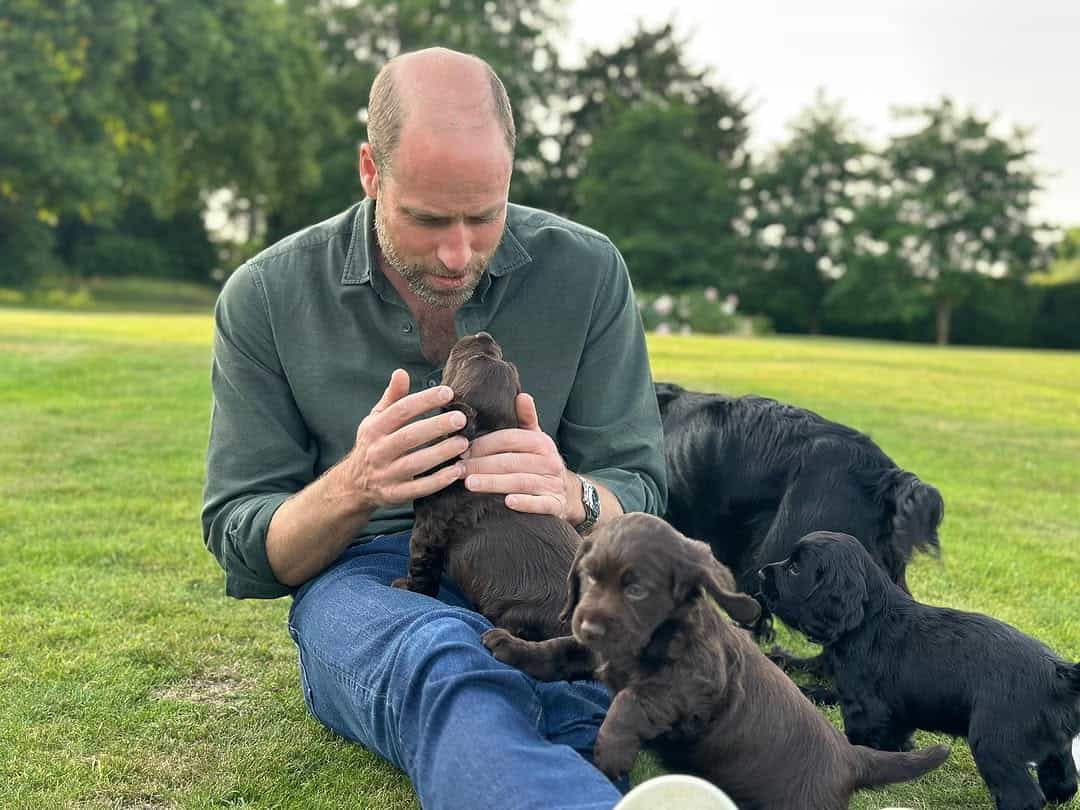 princ-william-kate