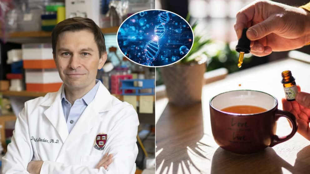 Dr. David Sinclair