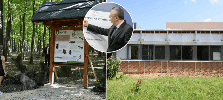 dotácie, projekty