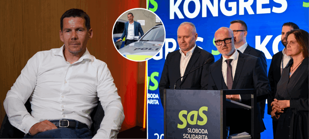 Štefan Hamran, SaS