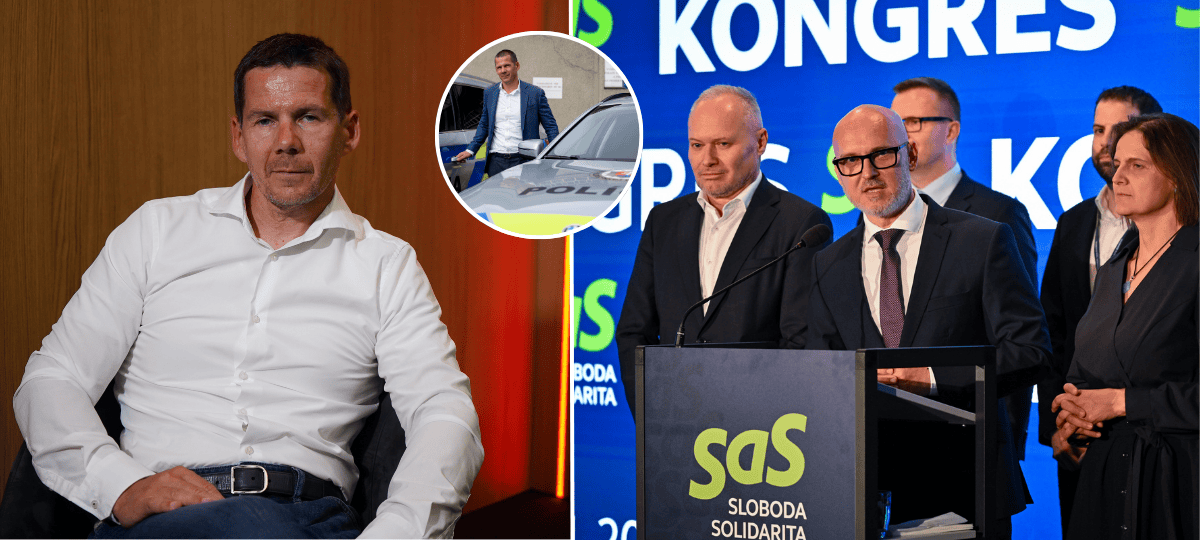 Štefan Hamran, SaS