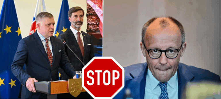 Fico, Merz, stretnutie