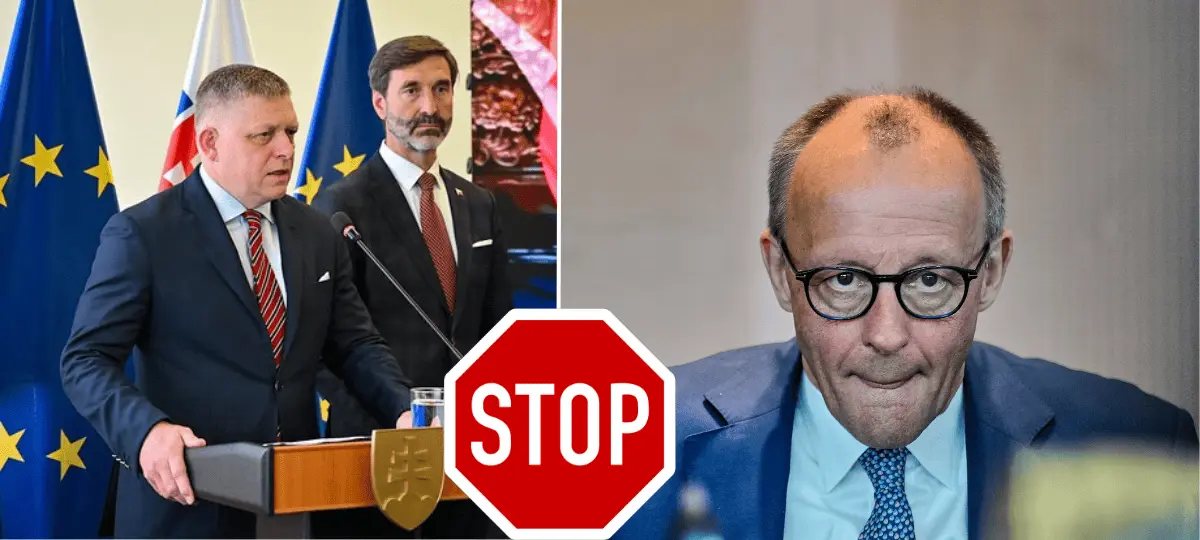 Fico, Merz, stretnutie