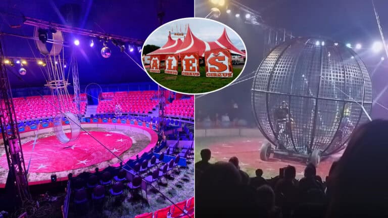 cirkus Aleš
