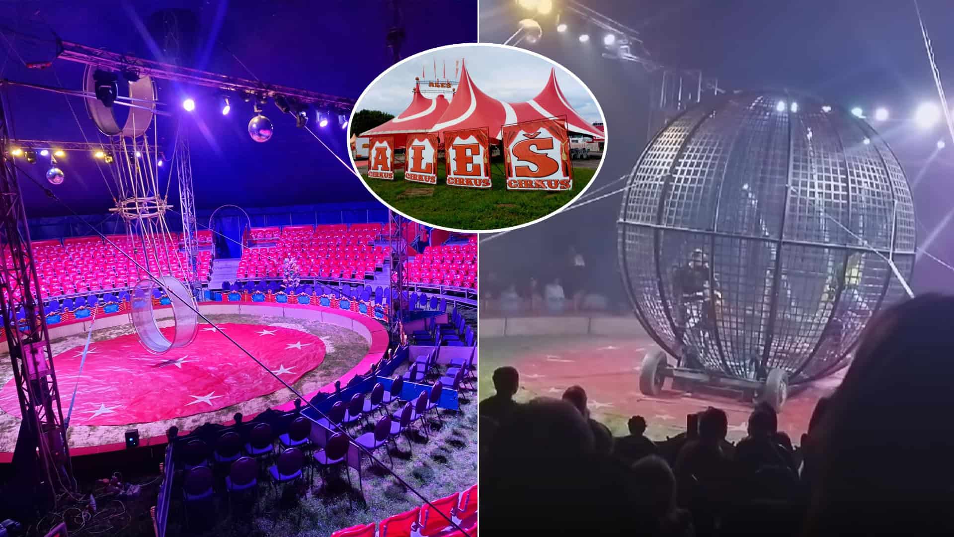 cirkus Aleš