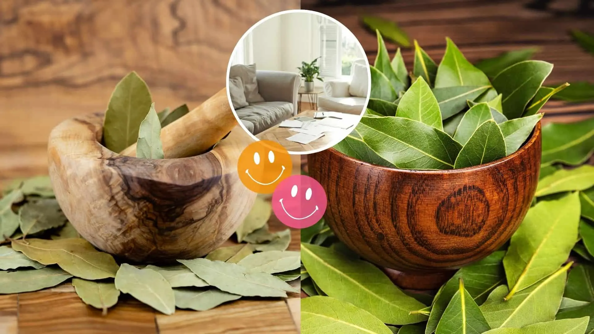 bobkový list, šťastie, domov