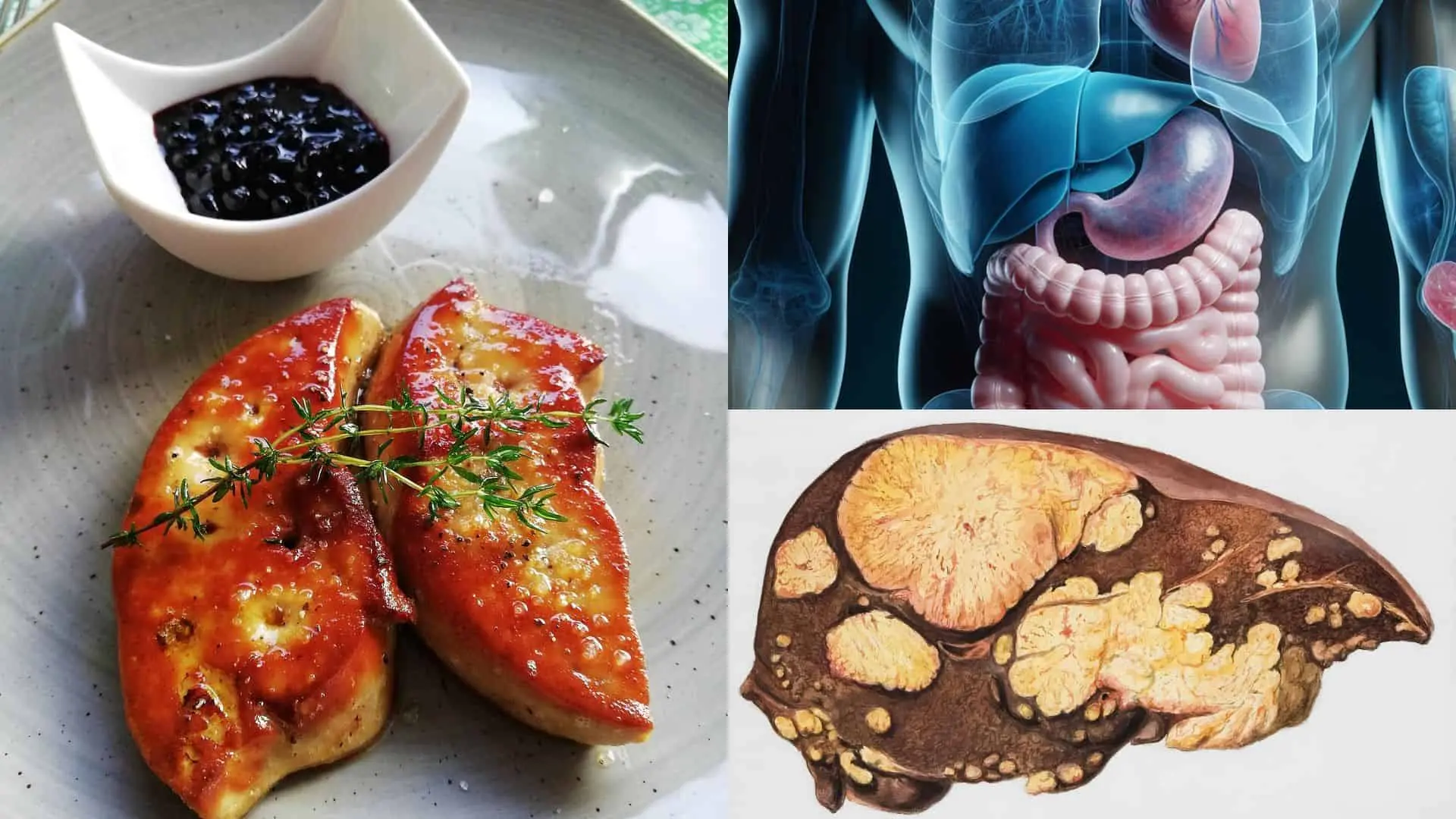 Zdravá pečeň si vyžaduje dlhodobú starostlivosť, nie len občasný detox