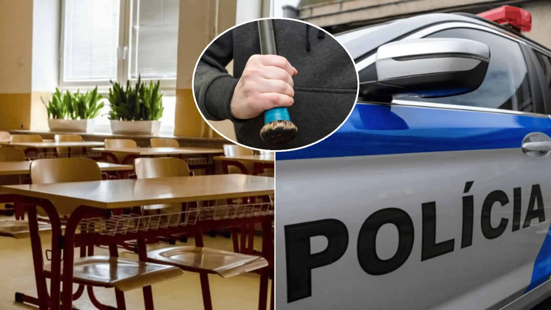 škola učiteľ bejzbalová palica polícia