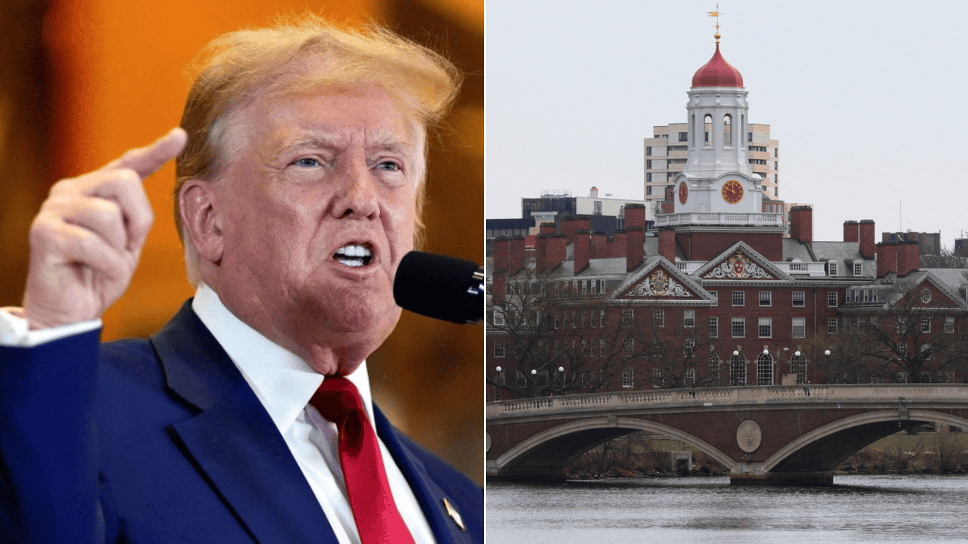 trump-harvard