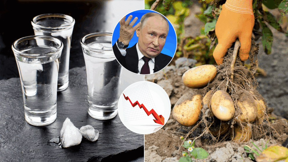 vodka-putin