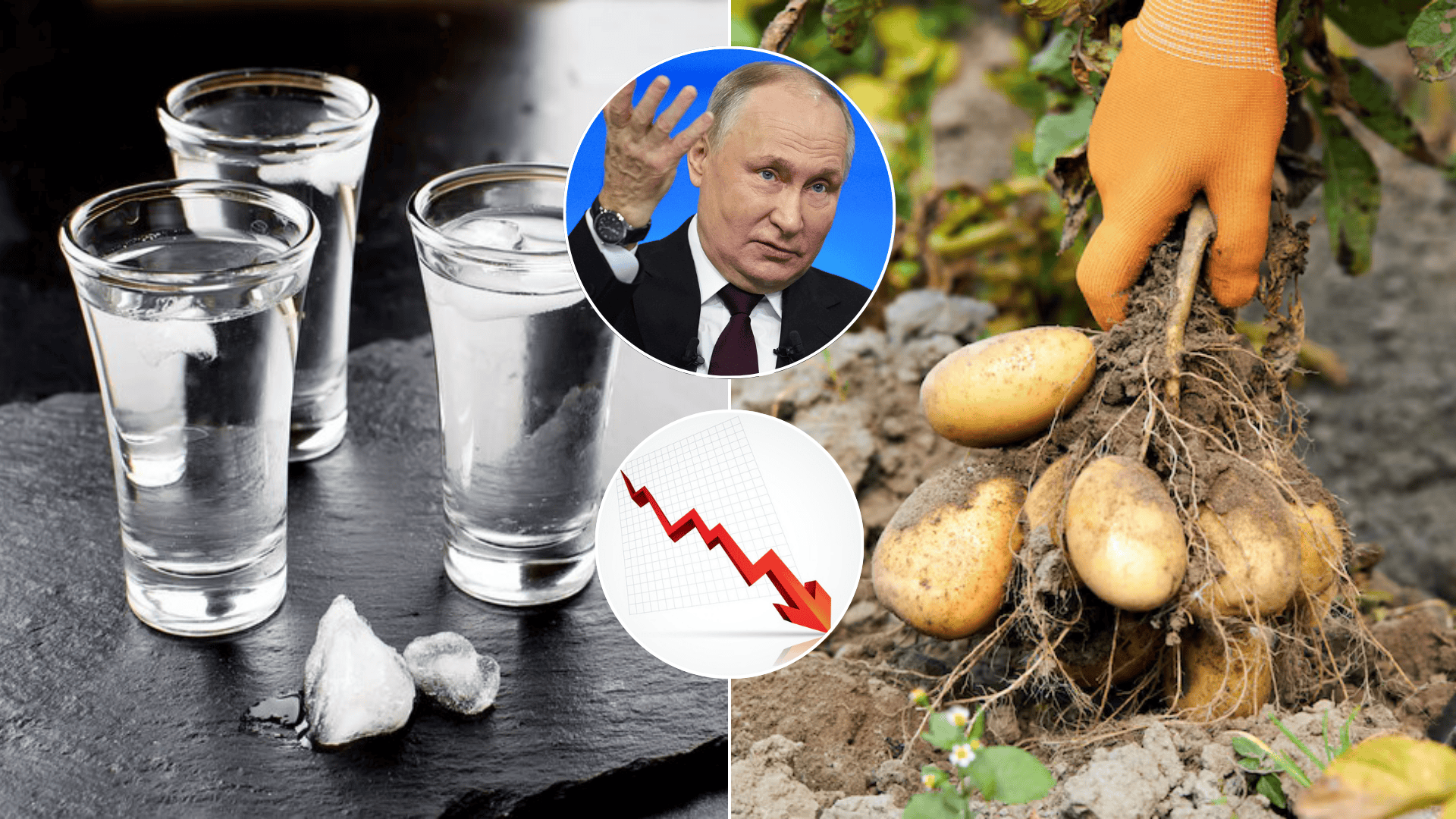 vodka-putin