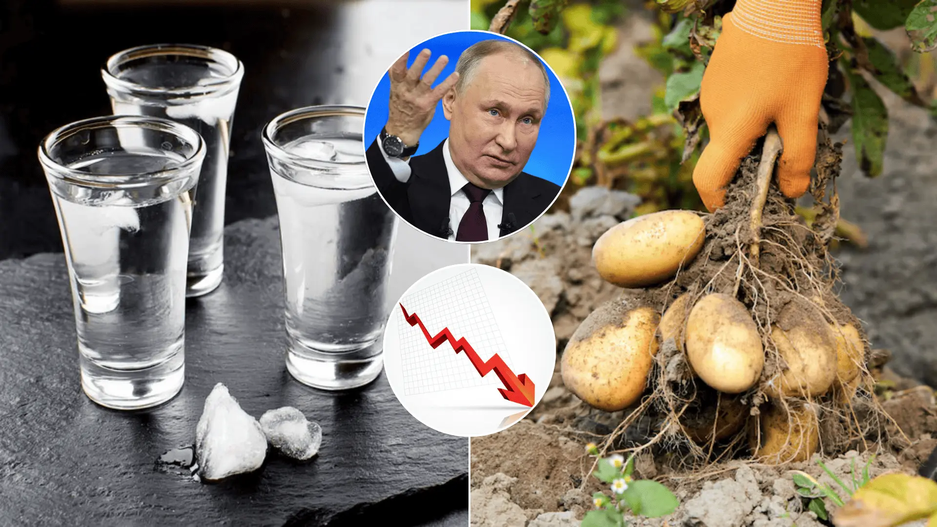 vodka-putin