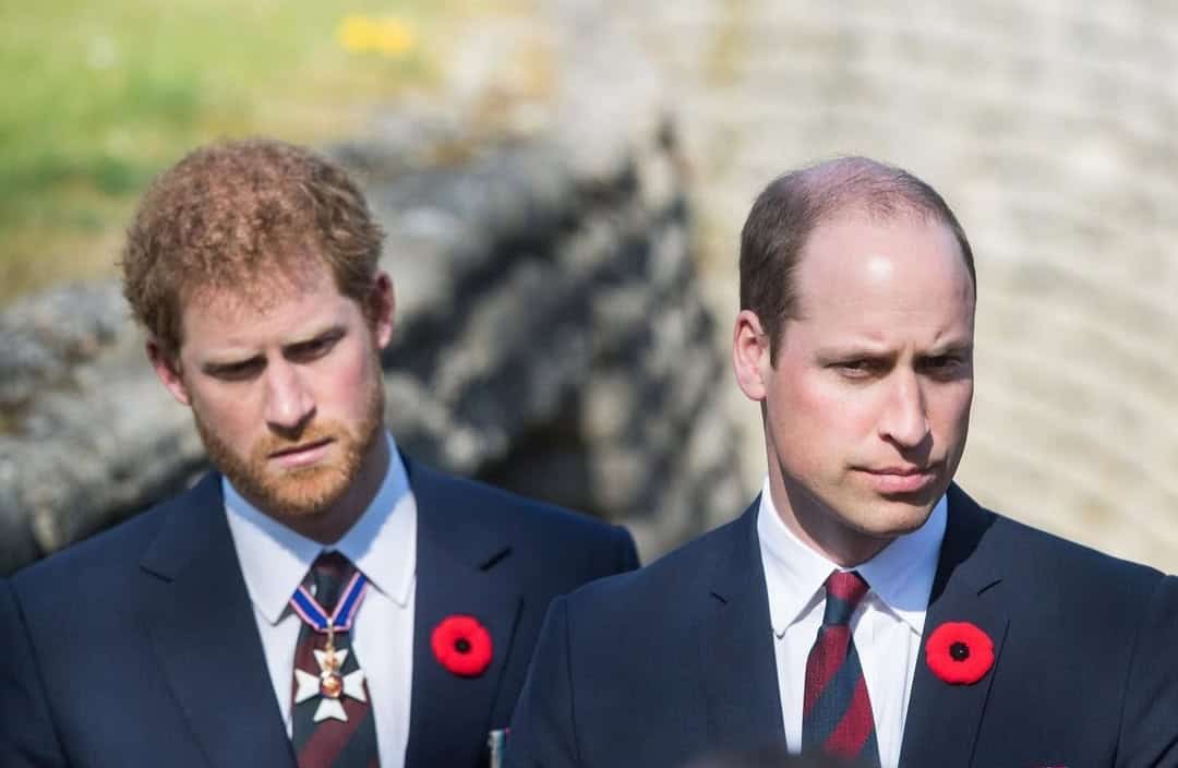 Princ Harry, William