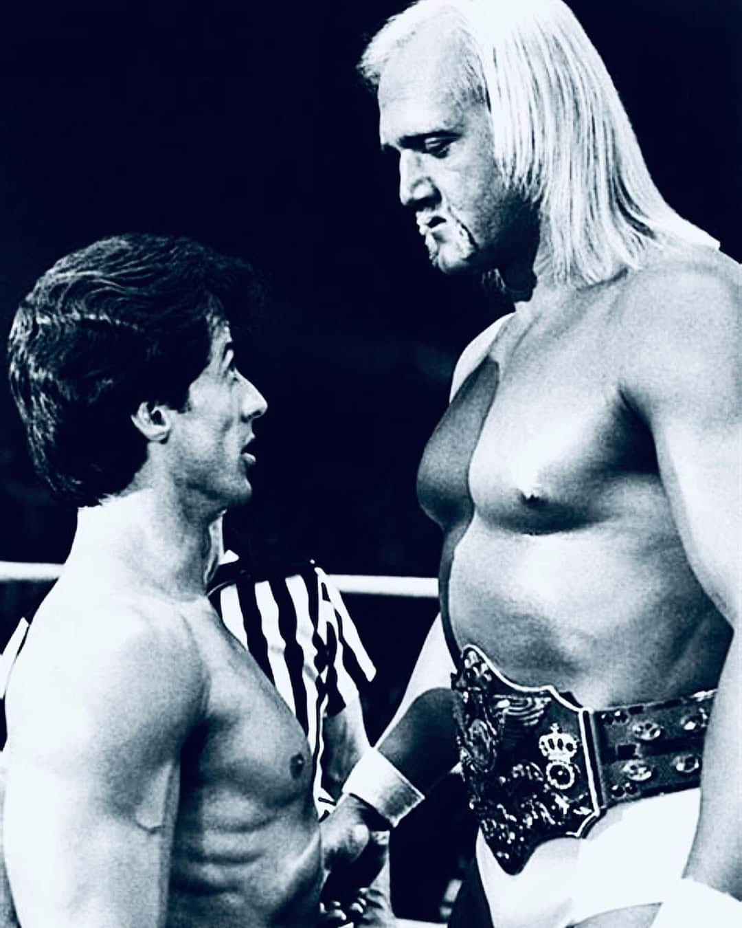 Sylvester Stallone s Hoganom