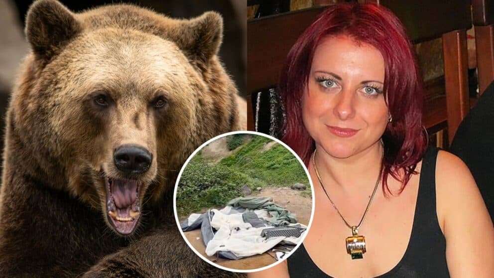 Turistka Natalya K. (43) utrpela vážne zranenia po útoku medveďa