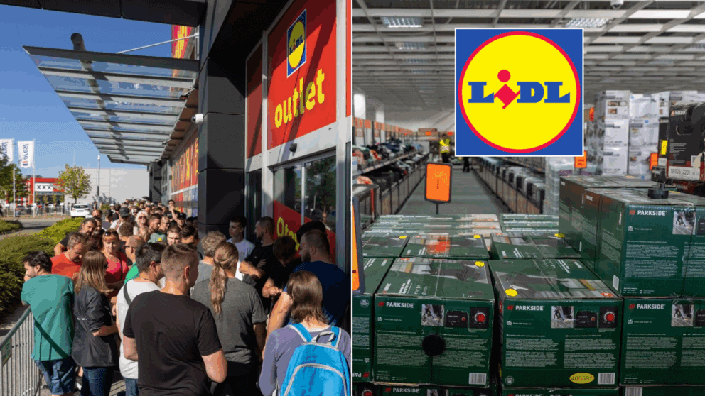 lidl-outlet