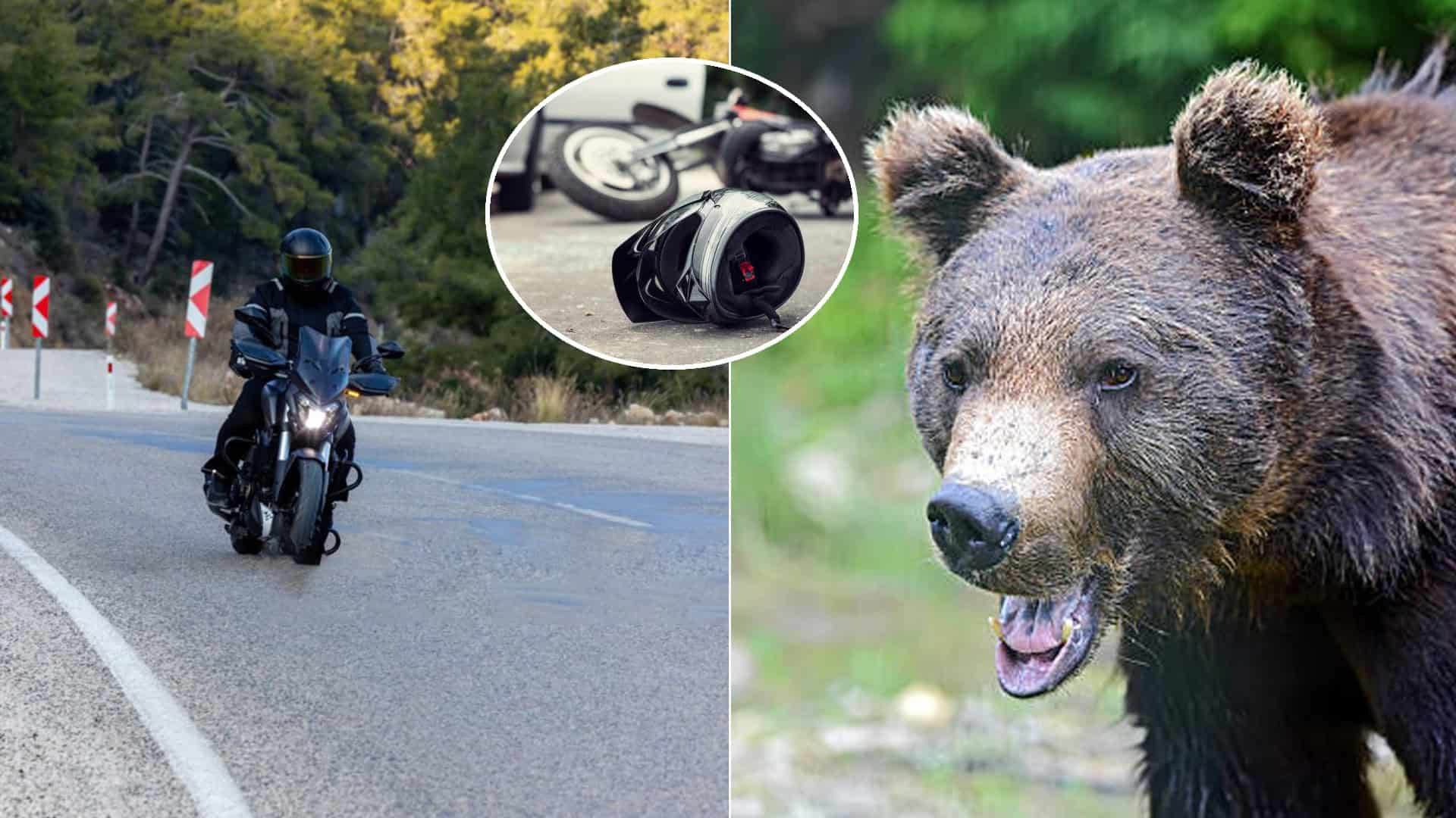 motorkár medveď