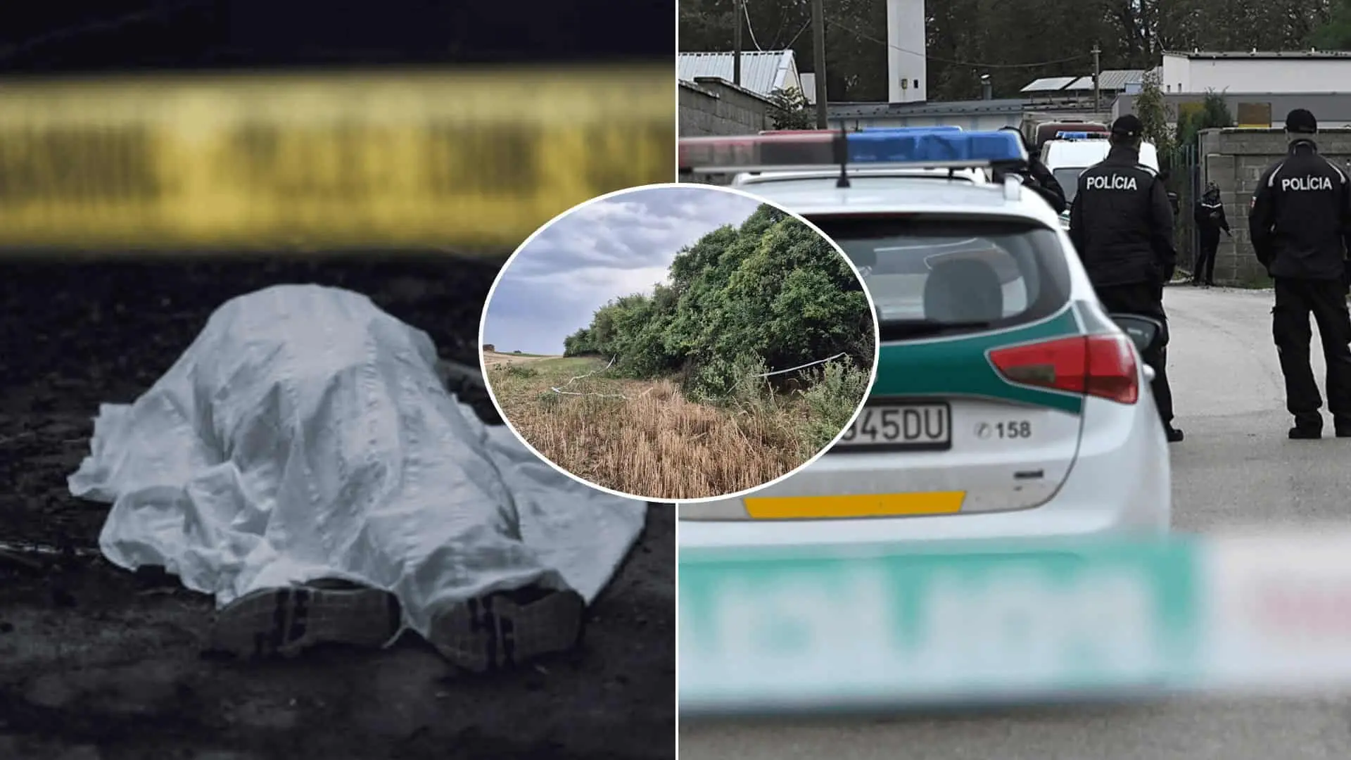 polícia nález pole Veľké Ripňany