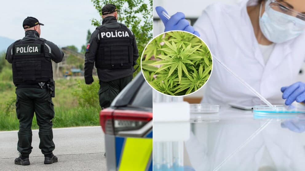 polícia marihuana THC