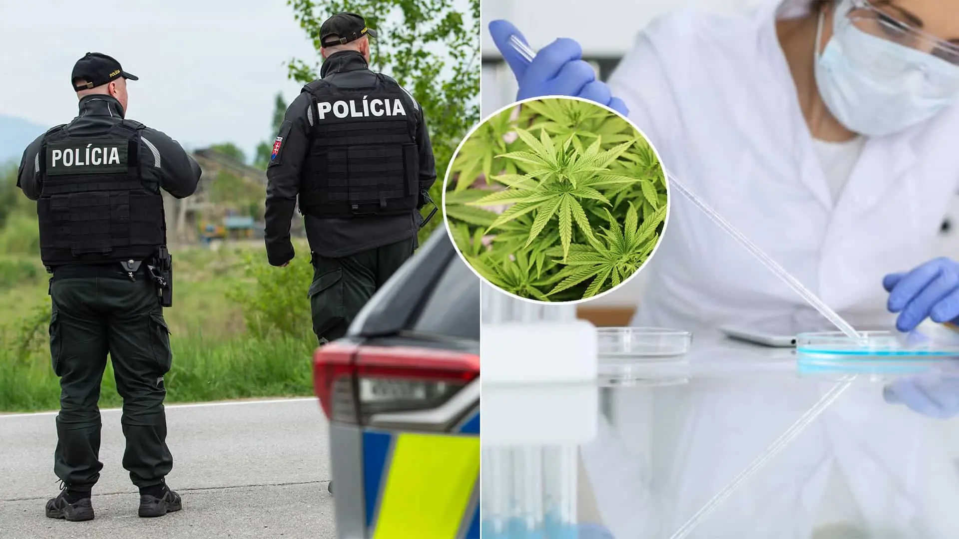 polícia marihuana THC