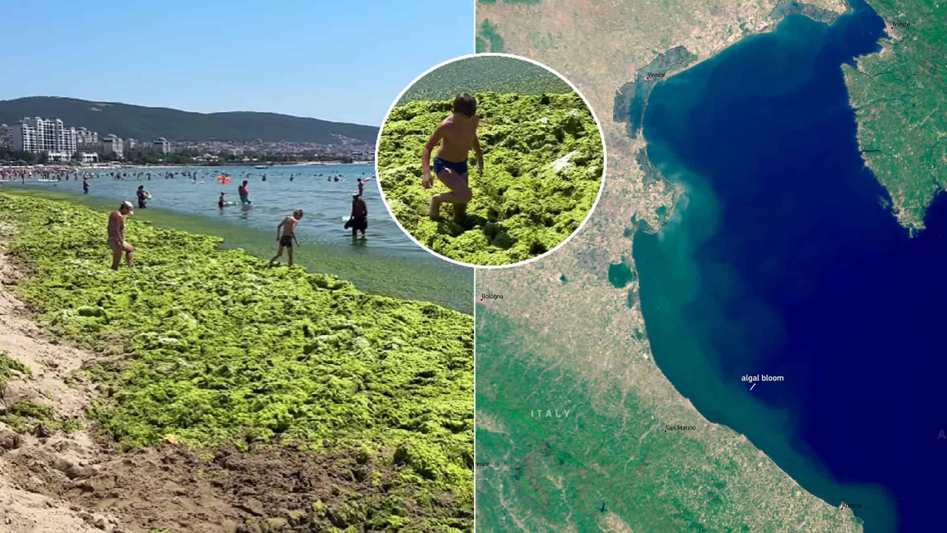 zelené pláže bulharské letovisko Emony
