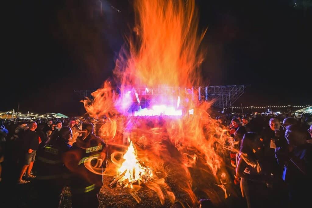 Festival Grape