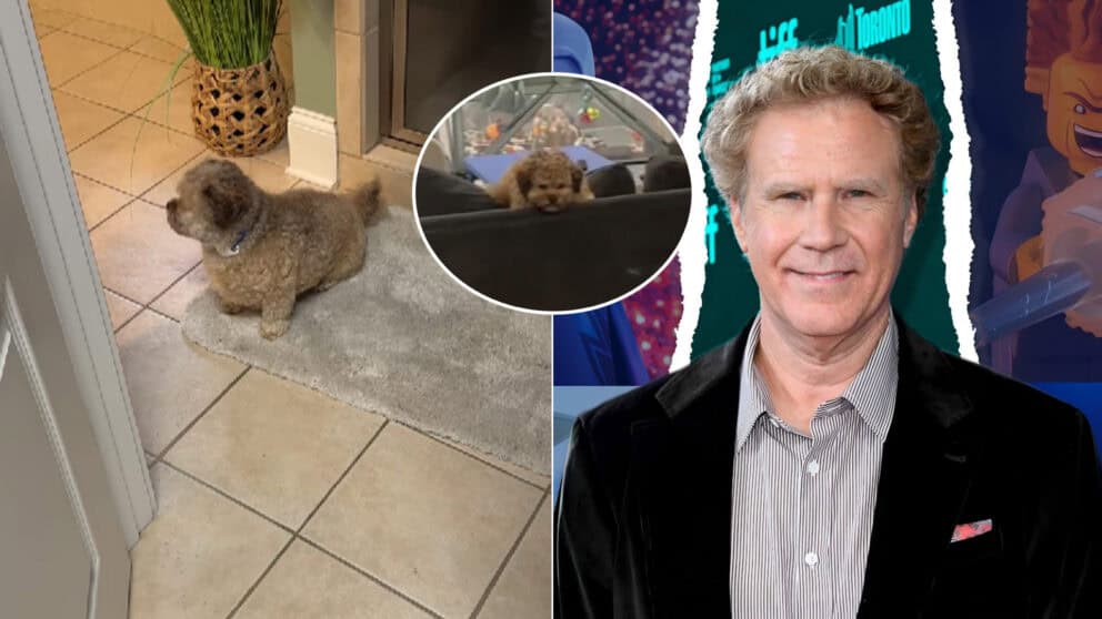 pes Max celebrita Will Ferrell