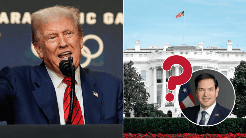 trump vance