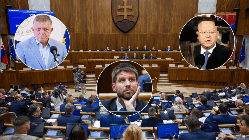 vláda parlament