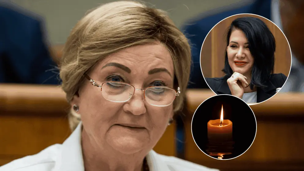 záborská cigániková