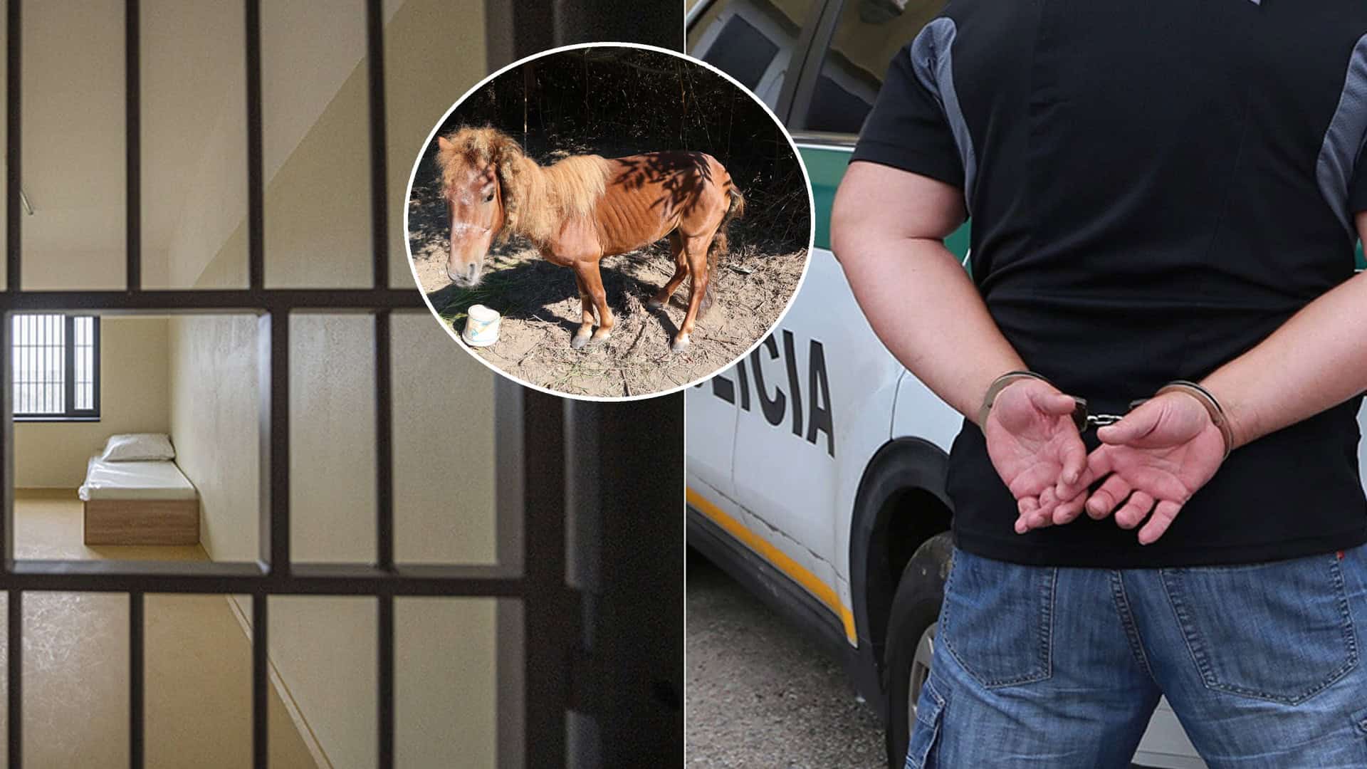 kôň týranie polícia