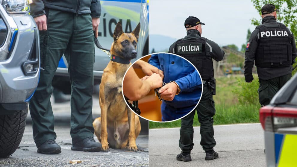 polícia pes putá