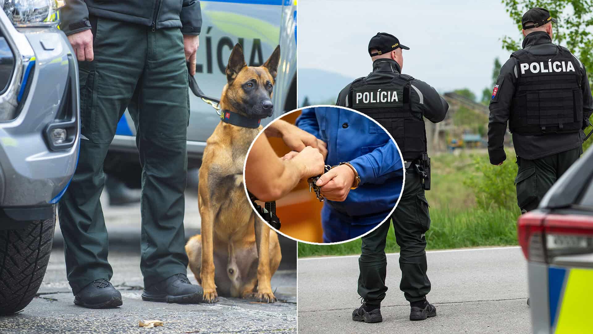 polícia pes putá