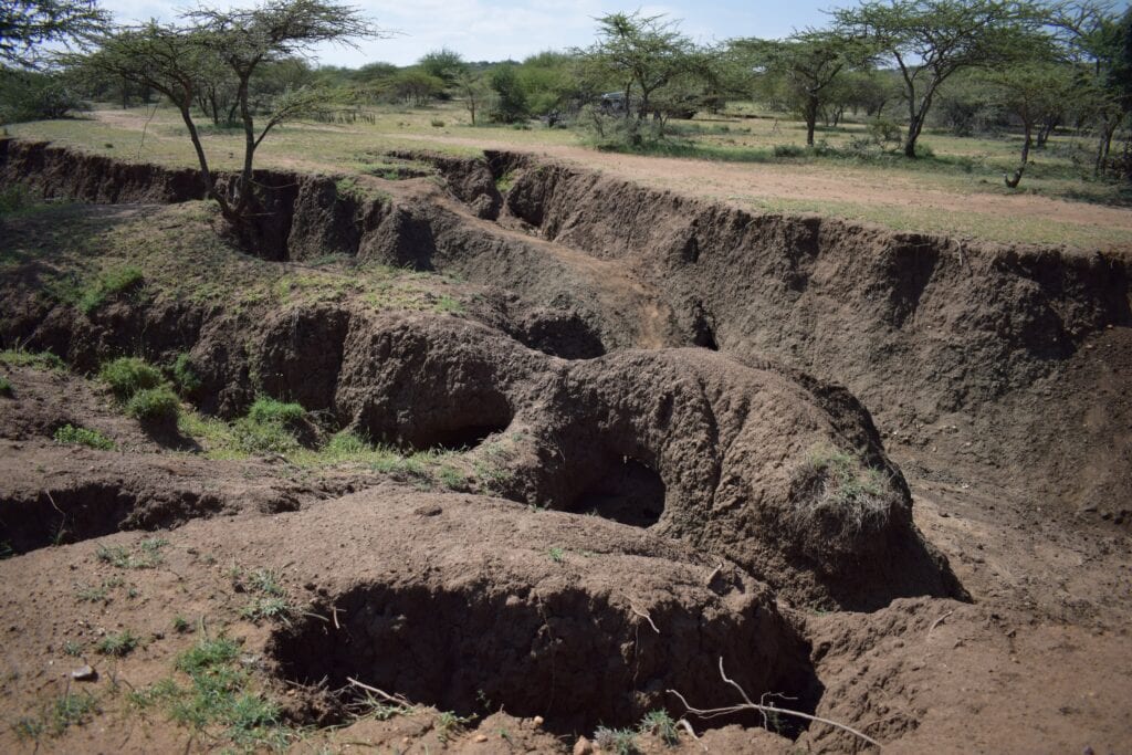 Zdroj:X- nrt_kenya