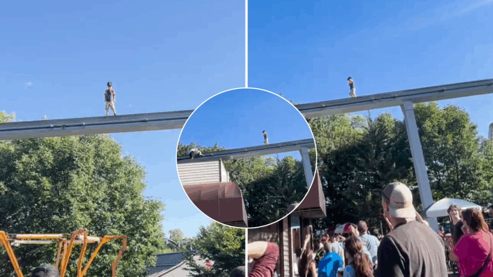zábavný park, chlapec, video