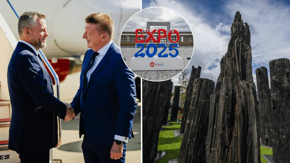 EXPO, výstava