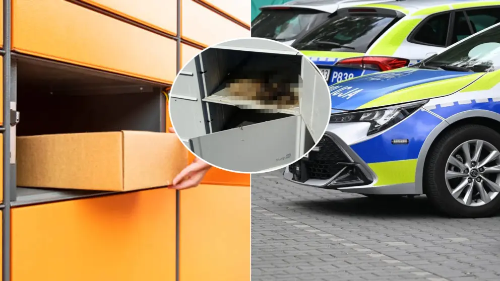 mačka balíkobox polícia Poľsko