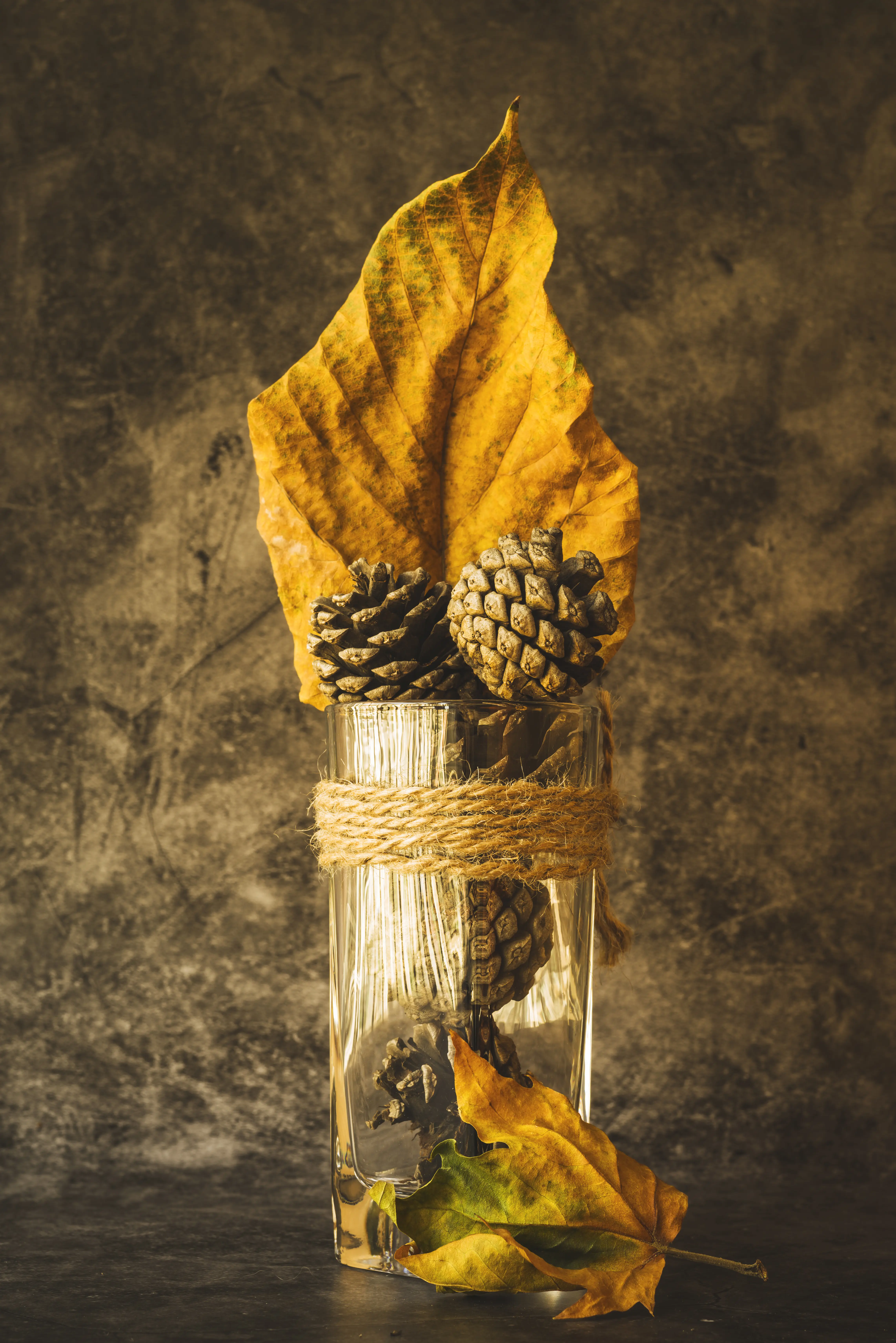 autumn