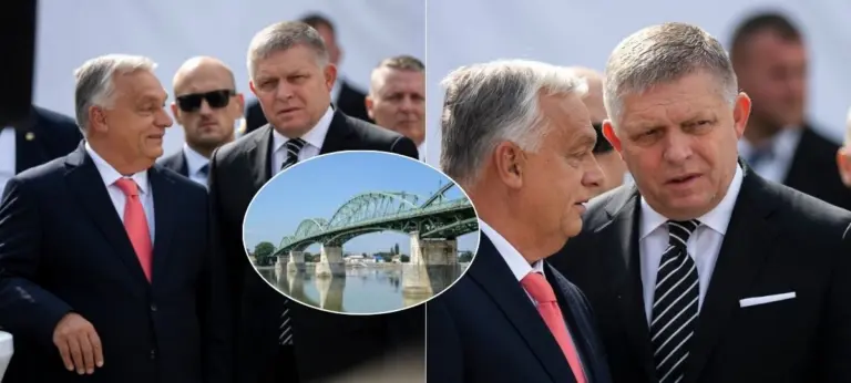 Fico, Orbán