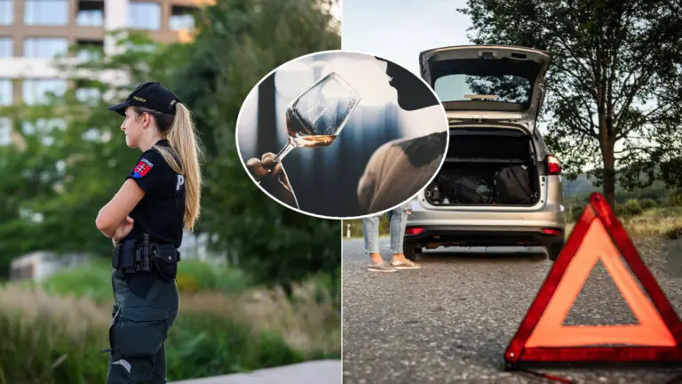 alkohol policajtka nehoda