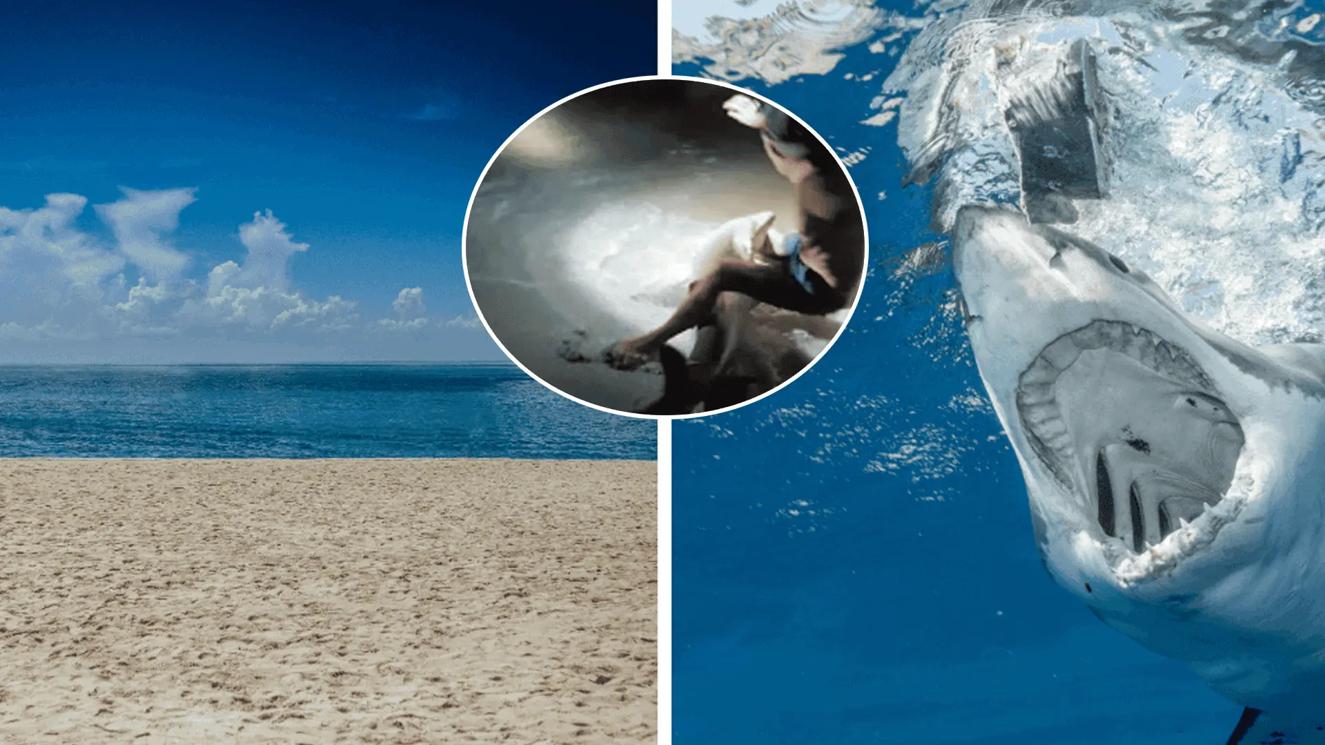 žralok napadnutie muž noha