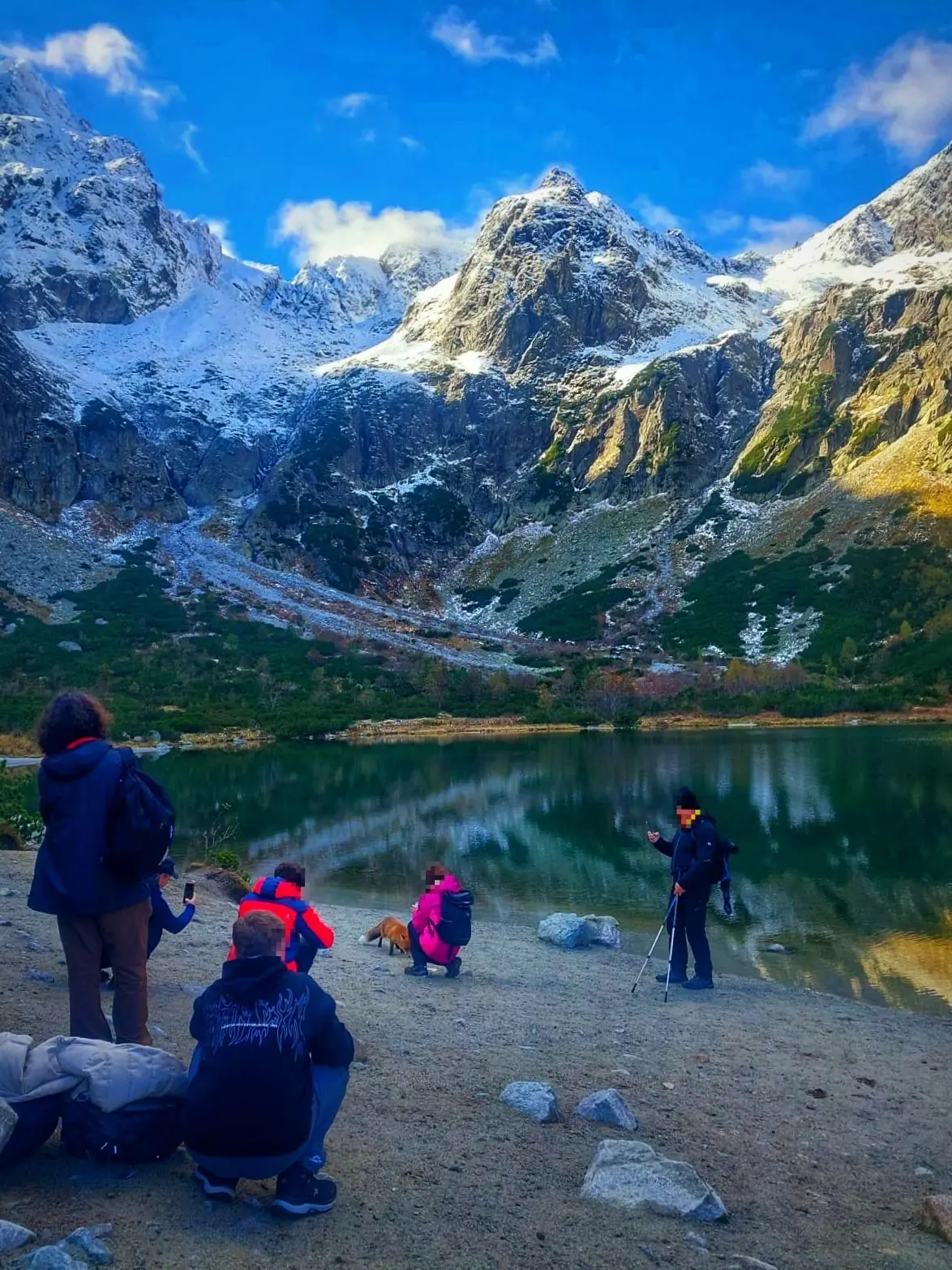 líška Tatry turisti