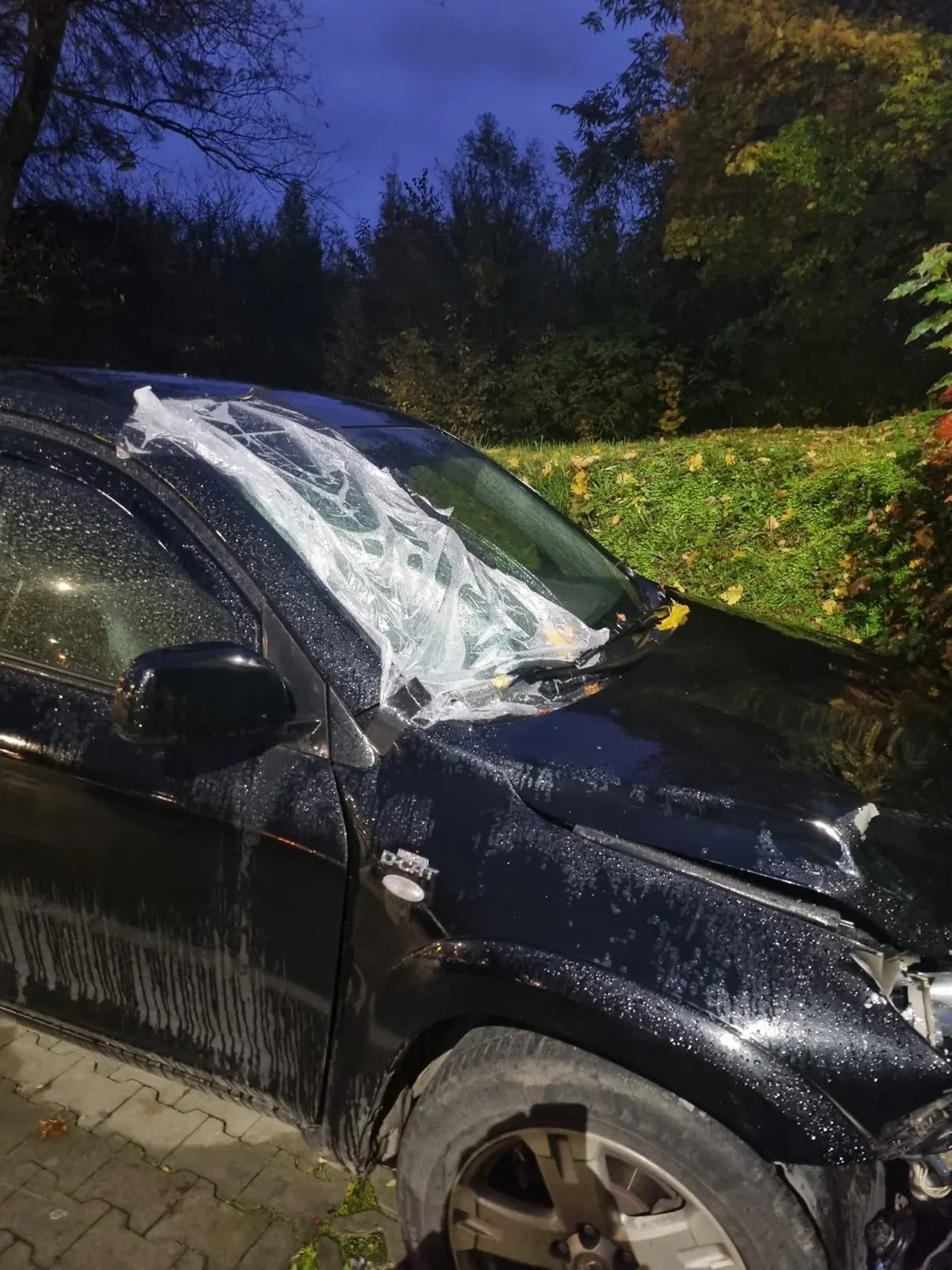 Brodno vodič auto nález telo mladík