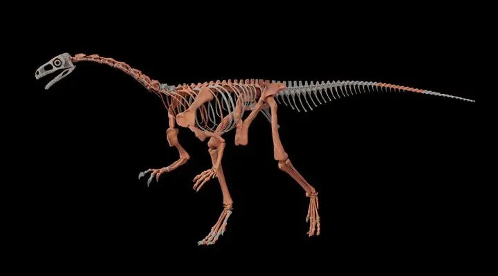 dinosaurus Huayracursor jaguensis