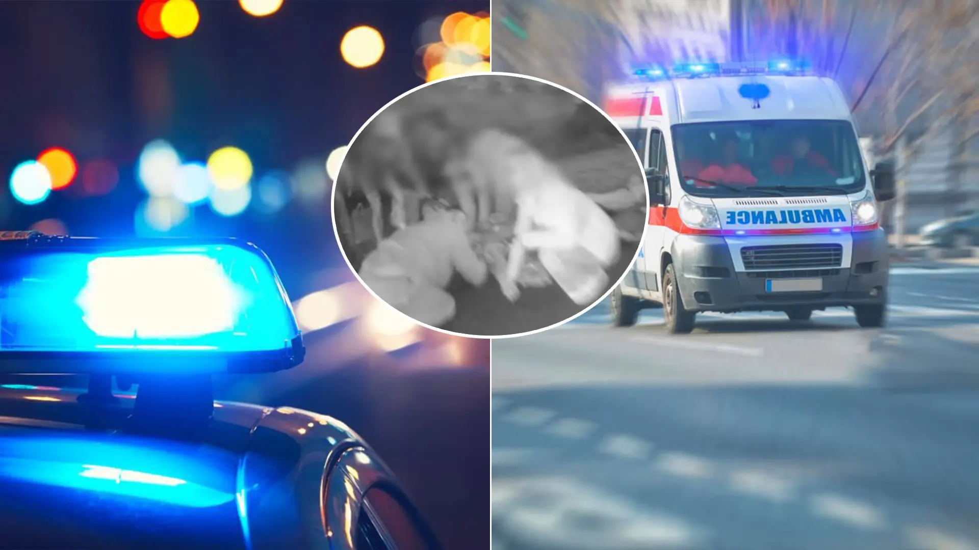 Česko sanitka zásah v Radějoviciach