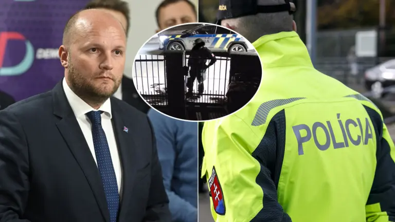 Naď polícia