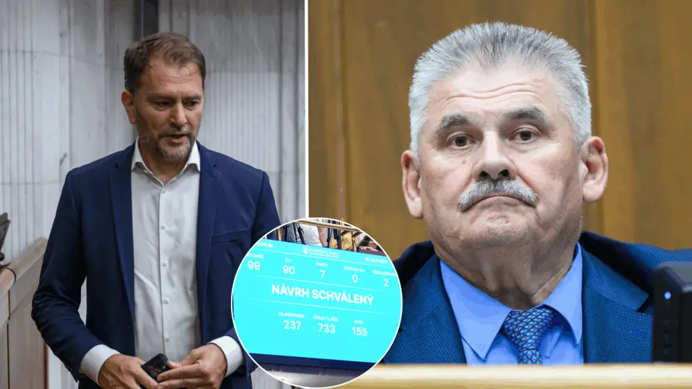 Matovič, Richter, ústava