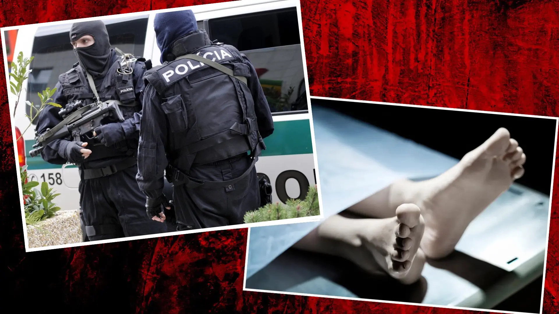 polícia, telo