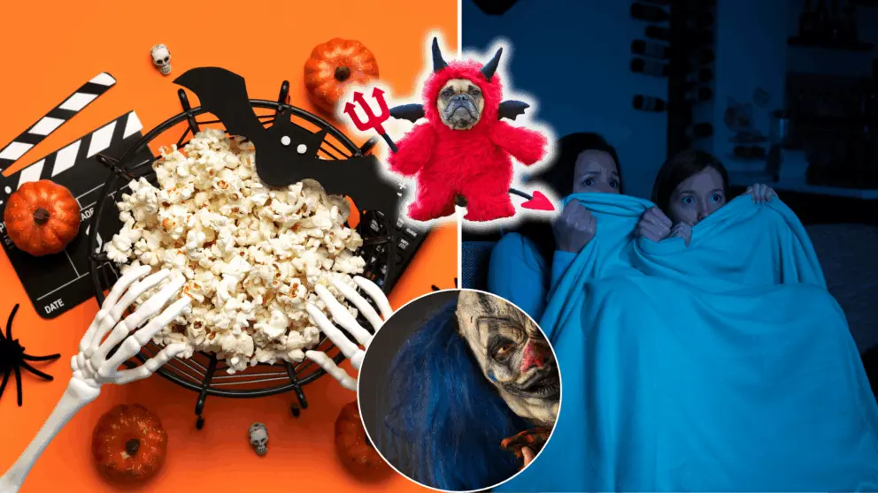 kvíz, halloween, horor